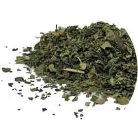 Sencha Green Tea